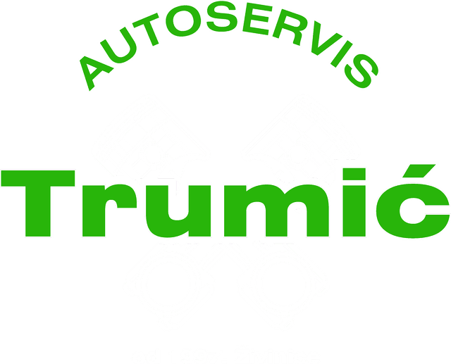 Autoservis Trumić